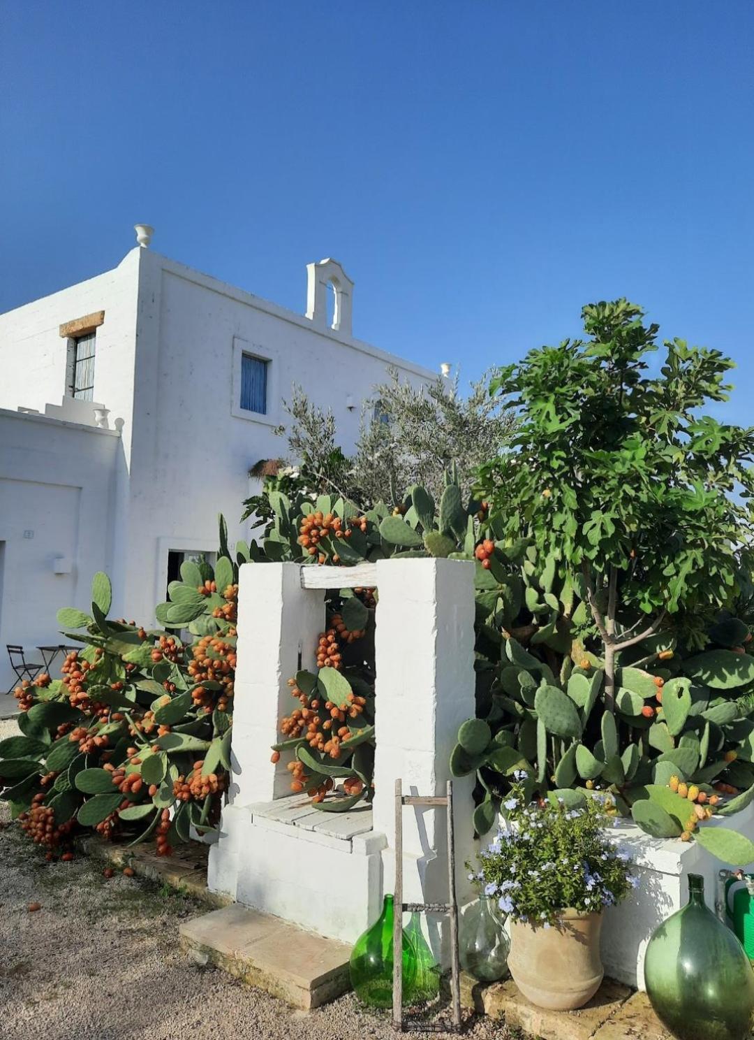 Masseria Fulcignano Galatone Dış mekan fotoğraf