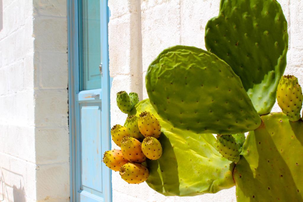 Masseria Fulcignano Galatone Dış mekan fotoğraf
